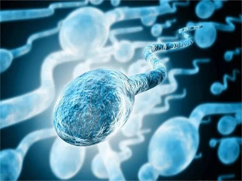 男性精子DNA碎片率高可不可选择做供精试管婴儿受孕？