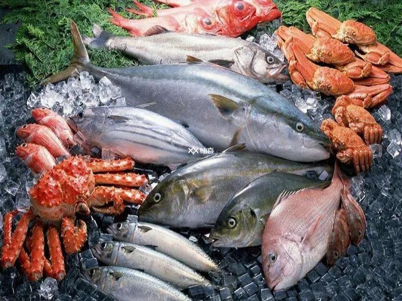 菌群移植过敏不能吃海鲜