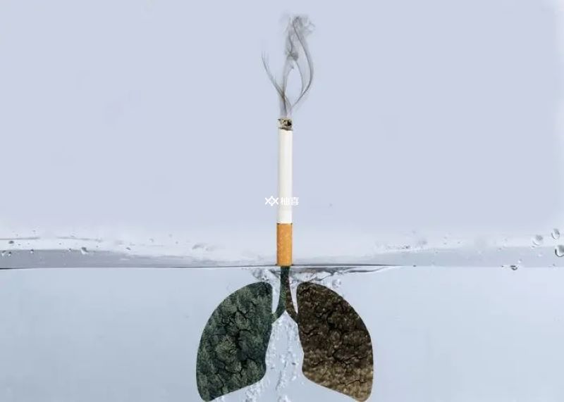 长期抽烟最好不要戒烟是谣言，但抽久了