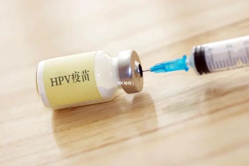 HPV疫苗适合接种年龄段一览，二价、四价