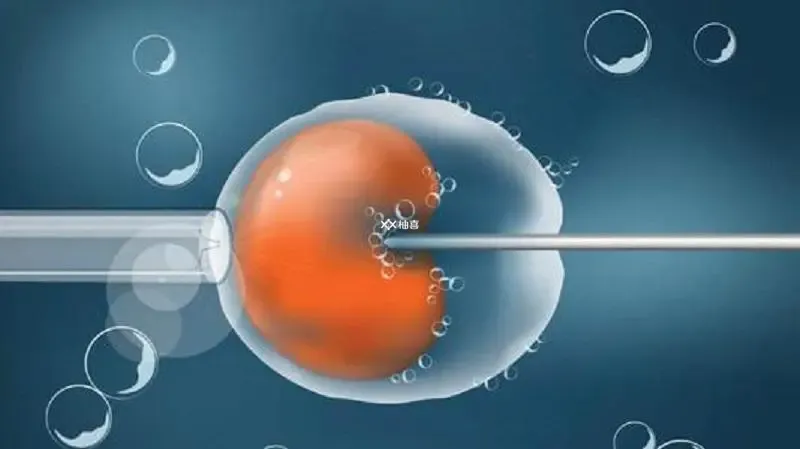 试管移植鲜胚的条件
