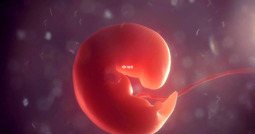 孕妇吃坚果可以促进胎儿大脑发育