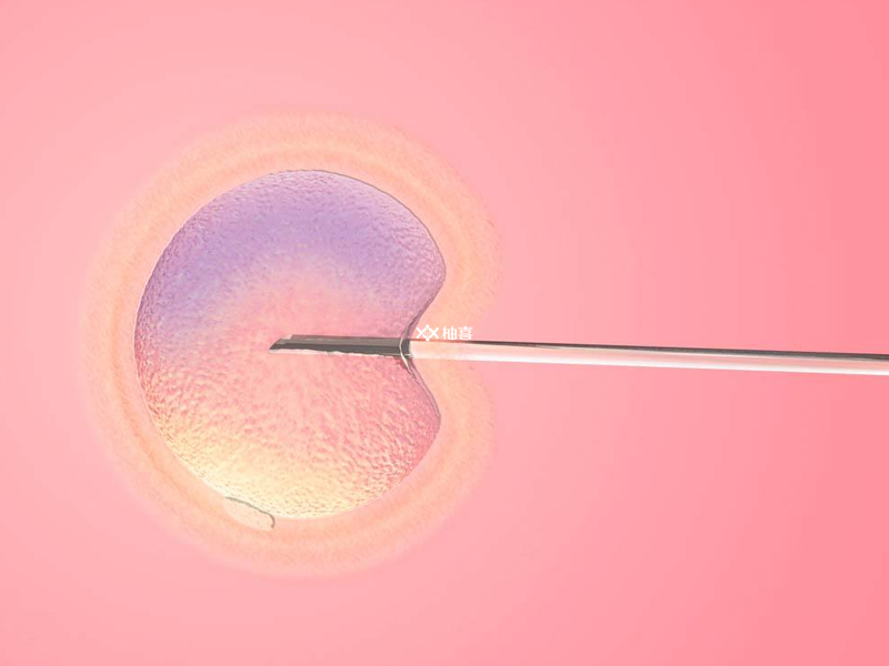 8个胚胎pgs检查能通过几个？决定成功率的