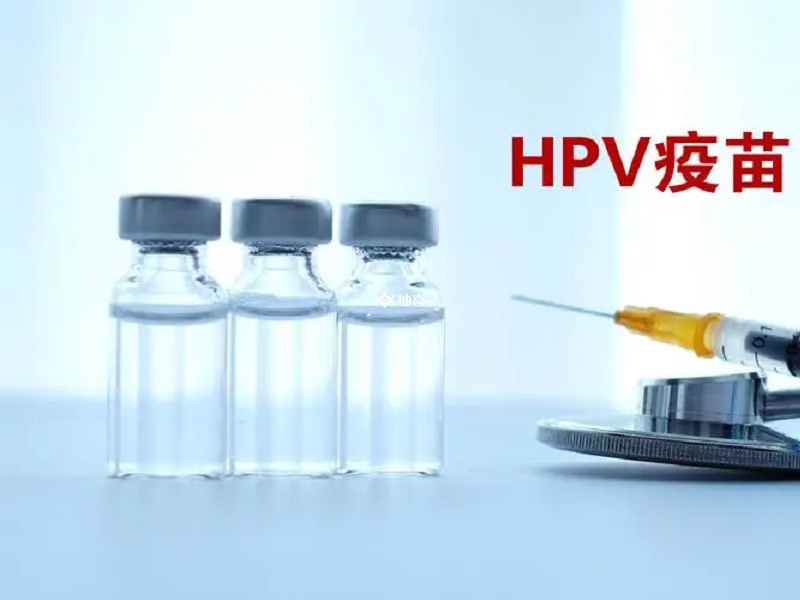 hpv是一种人类乳头状病毒