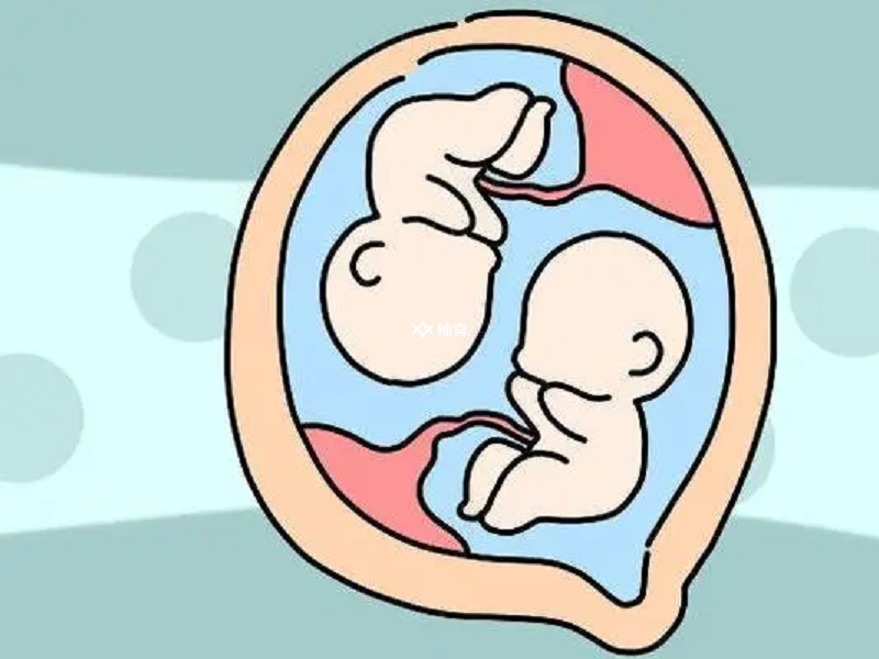 移植鲜胚8天白板但成功怀双胞胎的经验