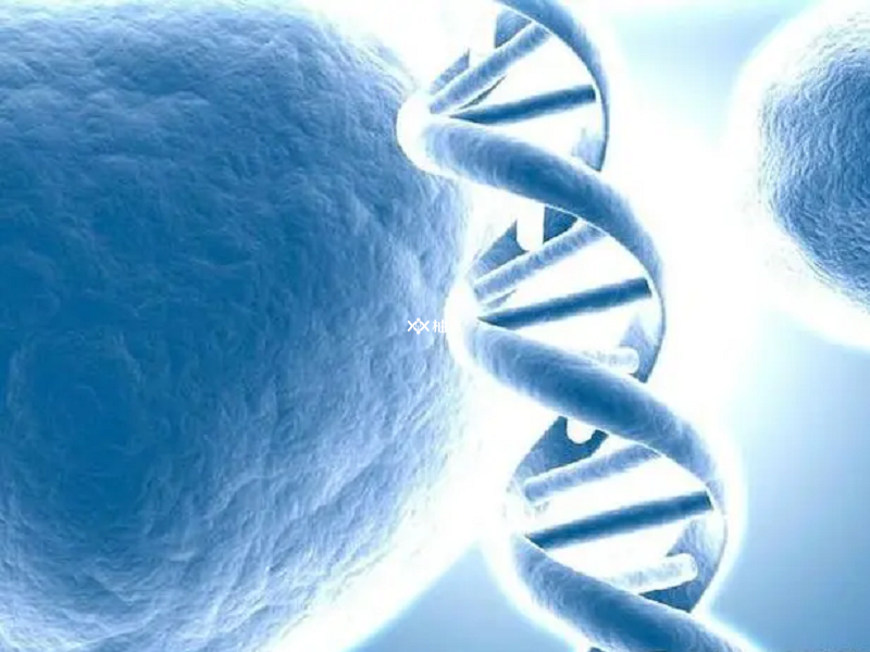 三代取卵后一周左右能查出胚胎染色体结果