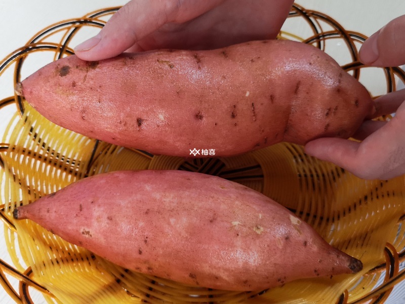 红薯可以长胎