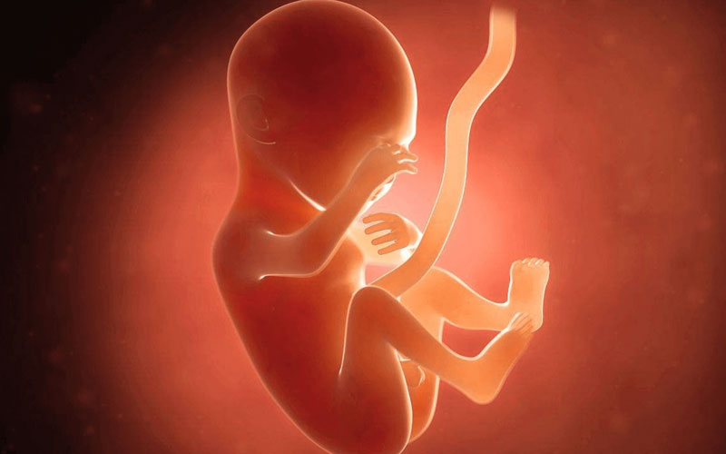 孕27周宝宝图片