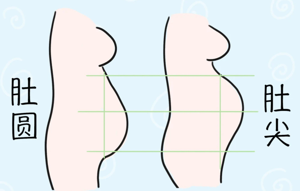 通过孕妇肚子形状可以判断男女